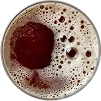https://www.coffeexpert.gr/wp-content/uploads/2017/05/beer_transparent_02.png