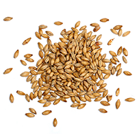 https://www.coffeexpert.gr/wp-content/uploads/2017/05/ingredients_transparent_03.png