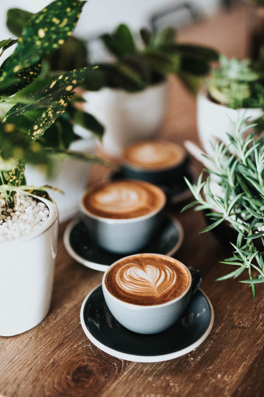 Coffee Expert Reveals 5 Tricks For Making The Best After Εταιρία - Coffee Expert Group of companies
